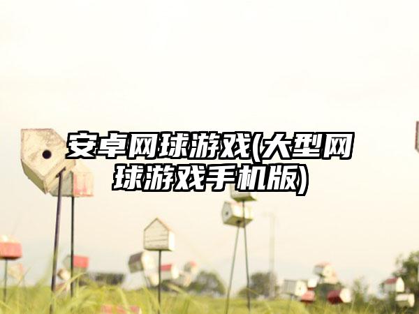 安卓网球游戏(大型网球游戏手机版)