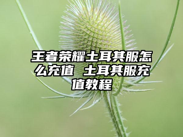 王者荣耀土耳其服怎么充值 土耳其服充值教程