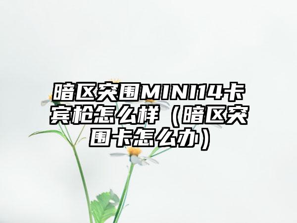暗区突围MINI14卡宾枪怎么样（暗区突围卡怎么办）