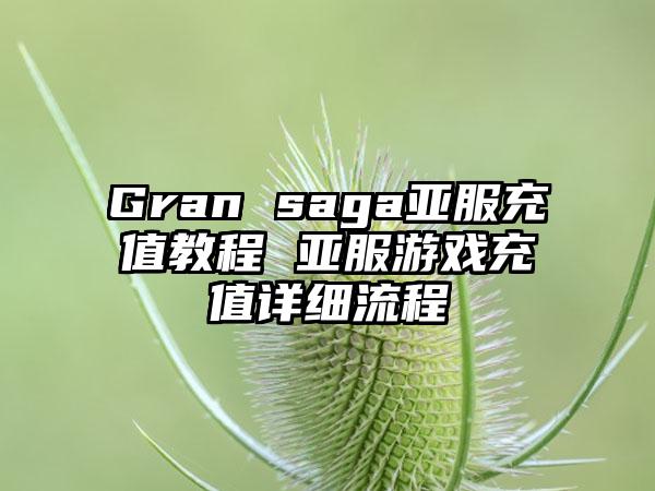 Gran saga亚服充值教程 亚服游戏充值详细流程