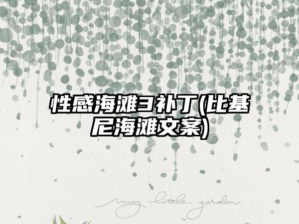 性感海滩3补丁(比基尼海滩文案)