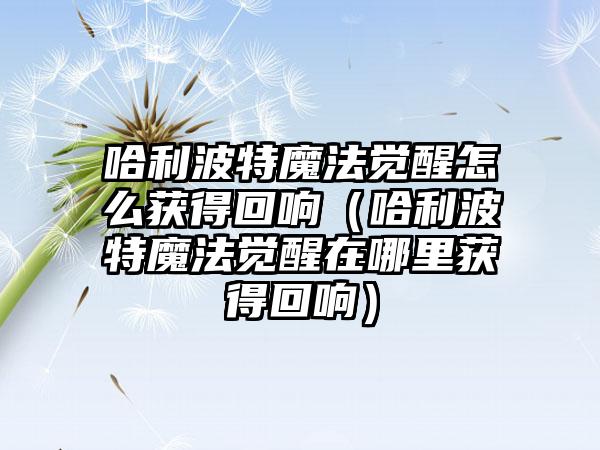 哈利波特魔法觉醒怎么获得回响（哈利波特魔法觉醒在哪里获得回响）