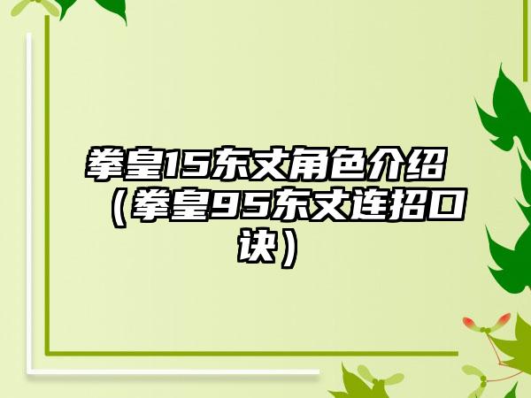 拳皇15东丈角色介绍（拳皇95东丈连招口诀）