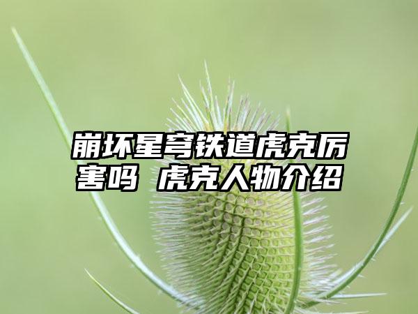 崩坏星穹铁道虎克厉害吗 虎克人物介绍