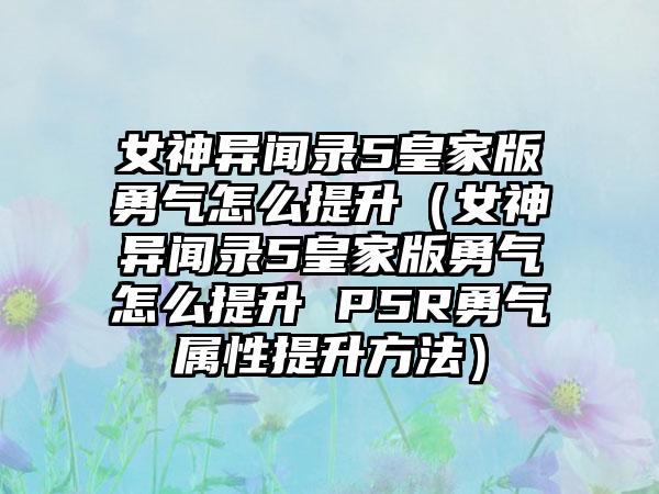 女神异闻录5皇家版勇气怎么提升（女神异闻录5皇家版勇气怎么提升 P5R勇气属性提升方法）