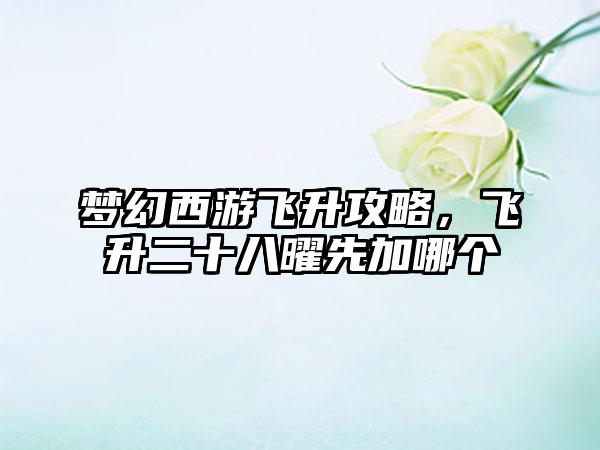 梦幻西游飞升攻略，飞升二十八曜先加哪个