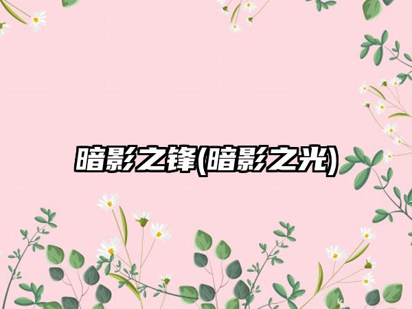 暗影之锋(暗影之光)