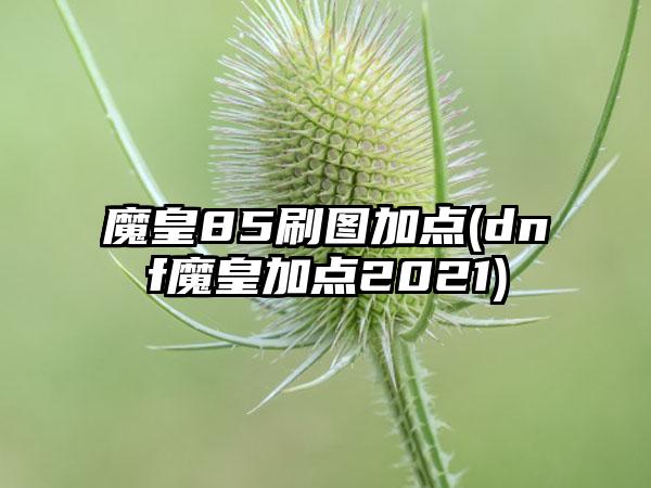 魔皇85刷图加点(dnf魔皇加点2021)