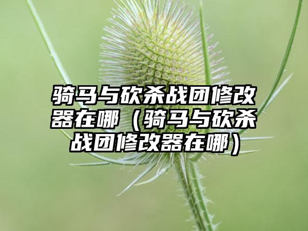 骑马与砍杀战团修改器在哪（骑马与砍杀战团修改器在哪）