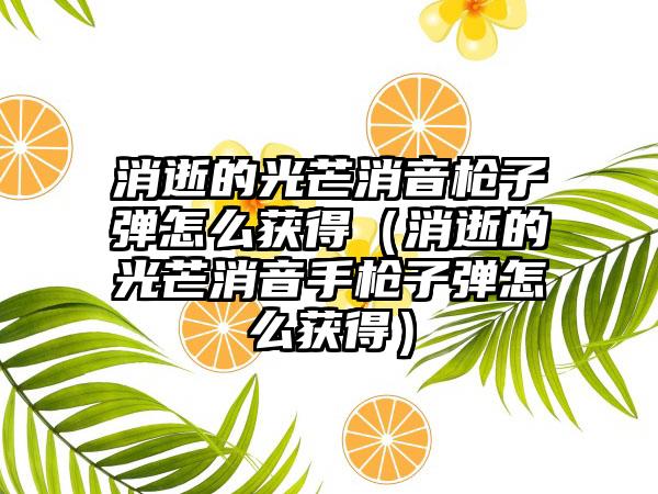 消逝的光芒消音枪子弹怎么获得（消逝的光芒消音手枪子弹怎么获得）