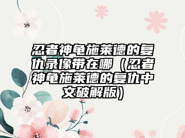 忍者神龟施莱德的复仇录像带在哪（忍者神龟施莱德的复仇中文破解版）