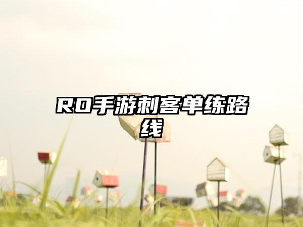 RO手游刺客单练路线