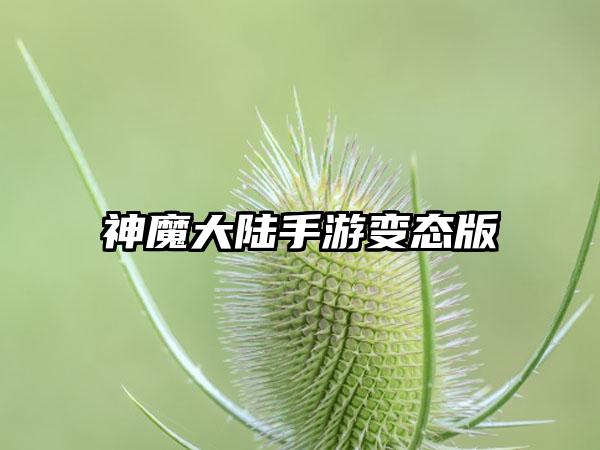 神魔大陆手游变态版