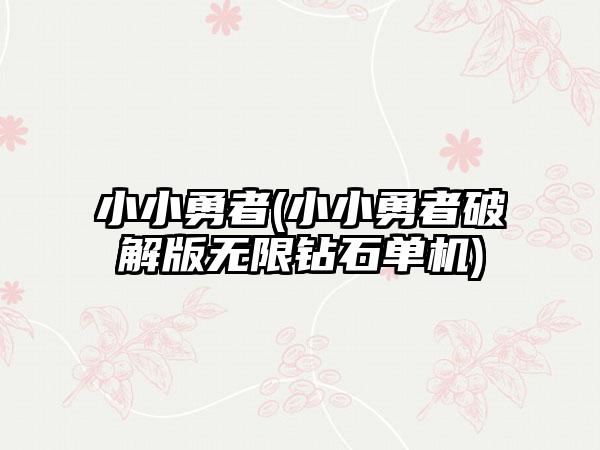 小小勇者(小小勇者破解版无限钻石单机)