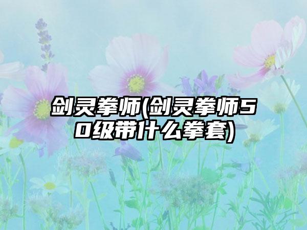 剑灵拳师(剑灵拳师50级带什么拳套)