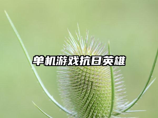 单机游戏抗日英雄