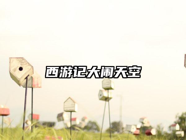 西游记大闹天空