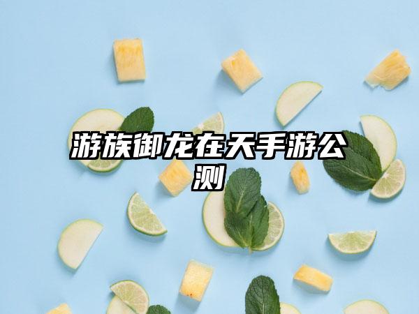 游族御龙在天手游公测