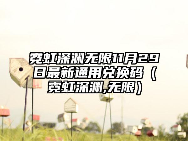霓虹深渊无限11月29日最新通用兑换码（霓虹深渊,无限）