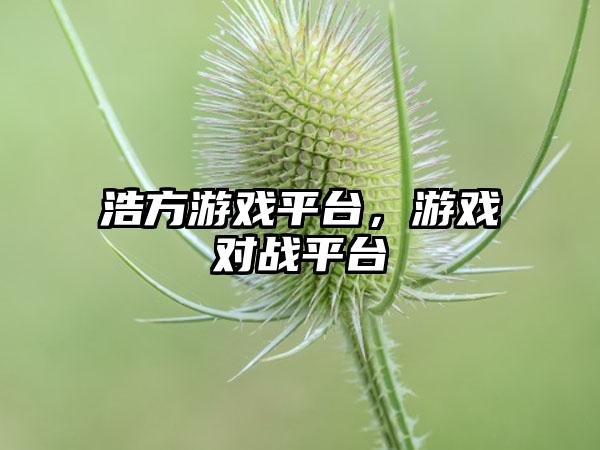 浩方游戏平台，游戏对战平台