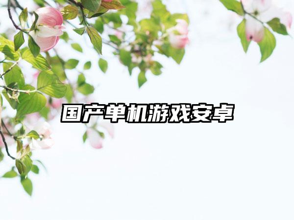 国产单机游戏安卓