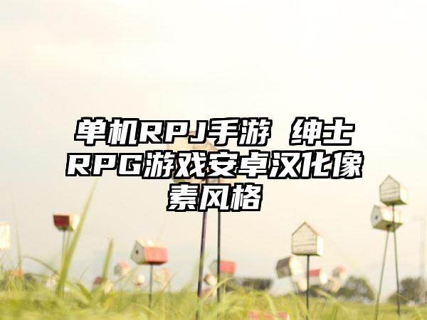单机RPJ手游 绅士RPG游戏安卓汉化像素风格