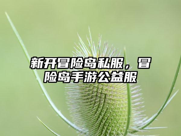 新开冒险岛私服，冒险岛手游公益服