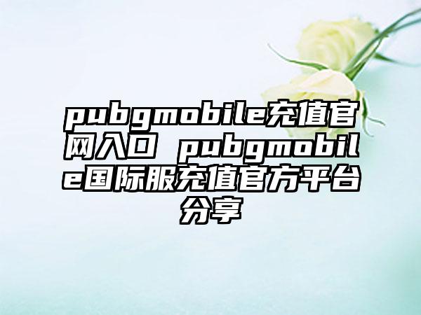 pubgmobile充值官网入口 pubgmobile国际服充值官方平台分享