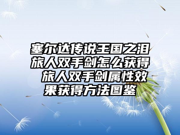 塞尔达传说王国之泪旅人双手剑怎么获得 旅人双手剑属性效果获得方法图鉴
