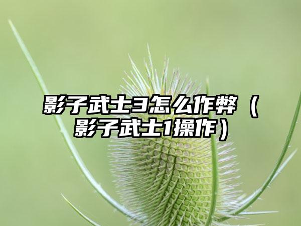 影子武士3怎么作弊（影子武士1操作）