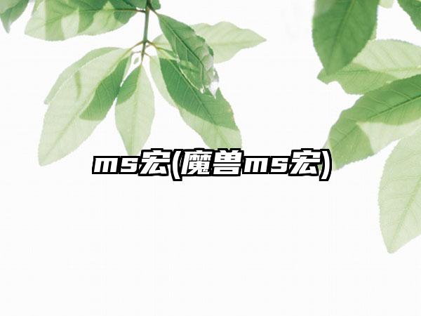 ms宏(魔兽ms宏)