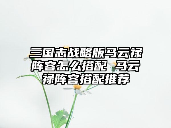 三国志战略版马云禄阵容怎么搭配 马云禄阵容搭配推荐
