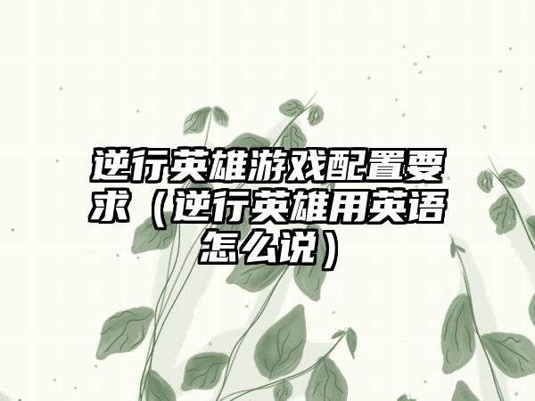 逆行英雄游戏配置要求（逆行英雄用英语怎么说）