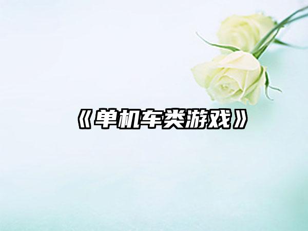 《单机车类游戏》