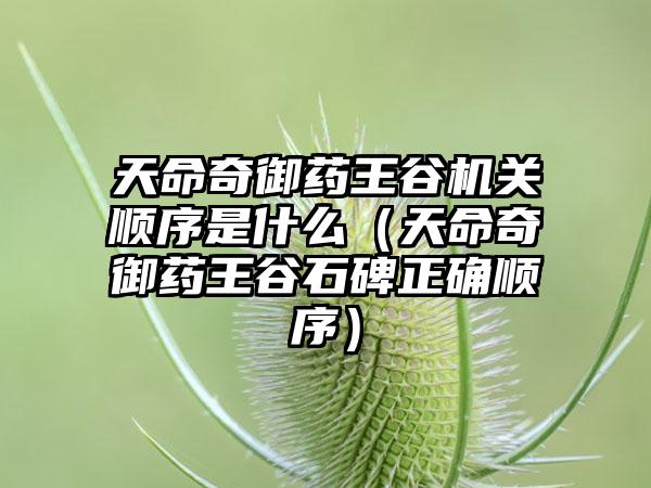 天命奇御药王谷机关顺序是什么（天命奇御药王谷石碑正确顺序）