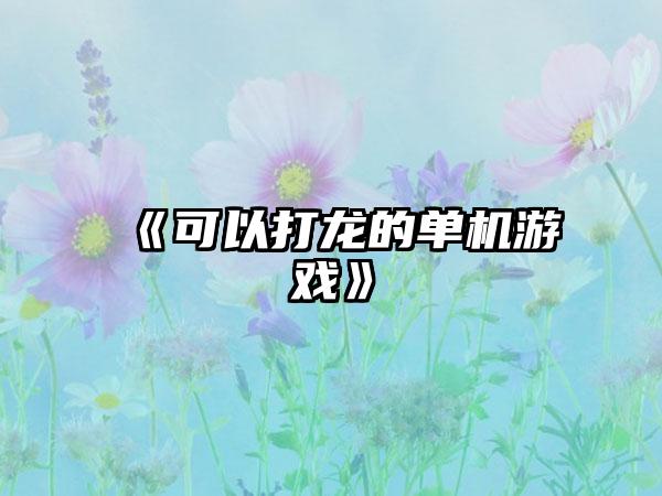 《可以打龙的单机游戏》