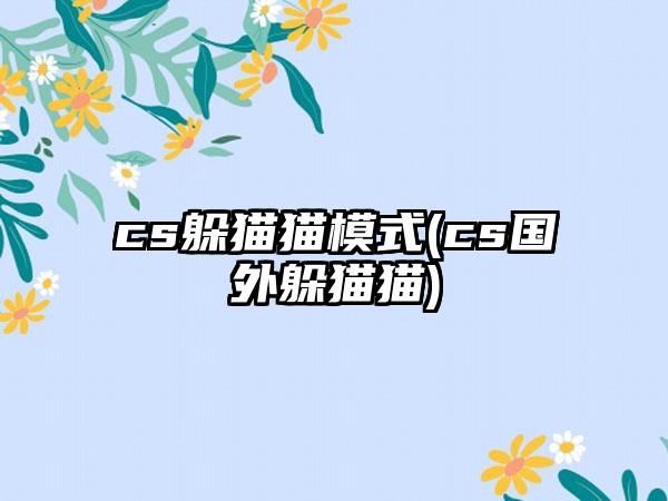 cs躲猫猫模式(cs国外躲猫猫)