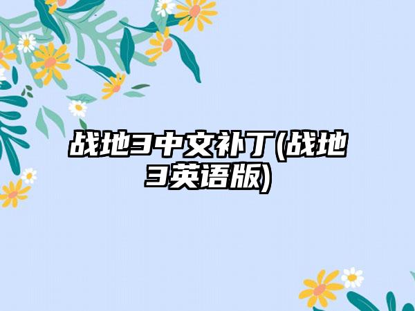 战地3中文补丁(战地3英语版)