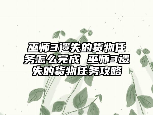 巫师3遗失的货物任务怎么完成 巫师3遗失的货物任务攻略