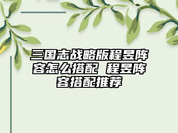 三国志战略版程昱阵容怎么搭配 程昱阵容搭配推荐