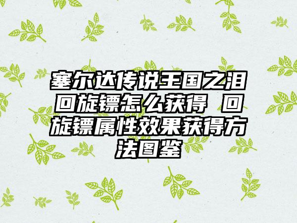 塞尔达传说王国之泪回旋镖怎么获得 回旋镖属性效果获得方法图鉴