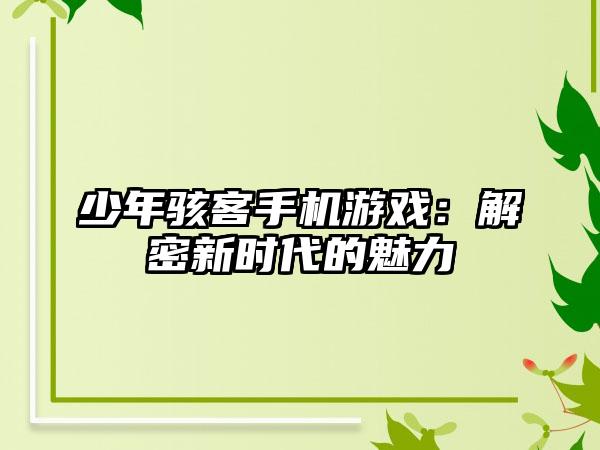 少年骇客手机游戏：解密新时代的魅力