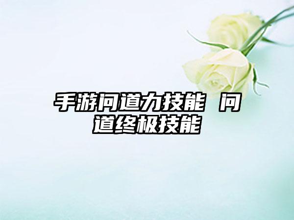 手游问道力技能 问道终极技能