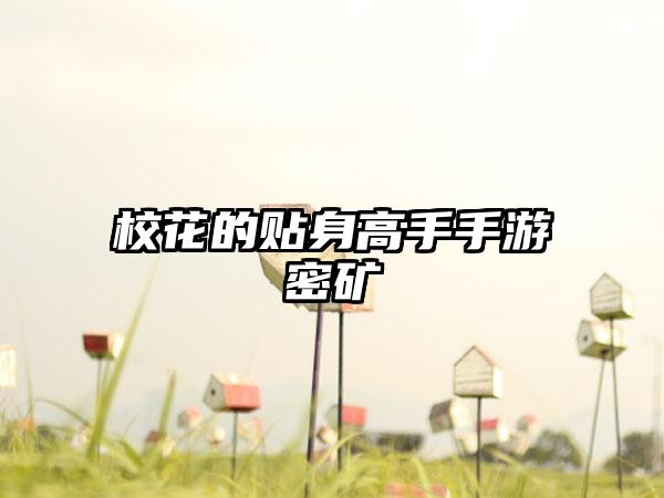 校花的贴身高手手游密矿
