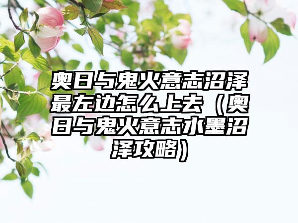 奥日与鬼火意志沼泽最左边怎么上去（奥日与鬼火意志水墨沼泽攻略）