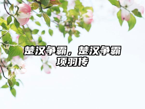 楚汉争霸，楚汉争霸项羽传