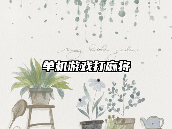 单机游戏打麻将