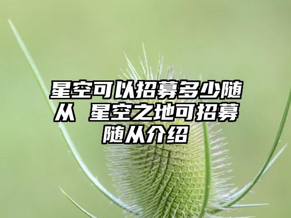 星空可以招募多少随从 星空之地可招募随从介绍