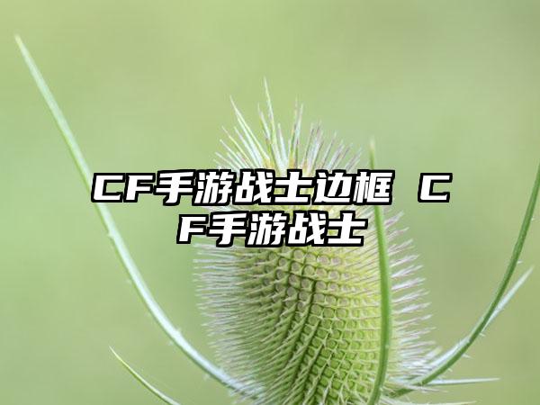 CF手游战士边框 CF手游战士
