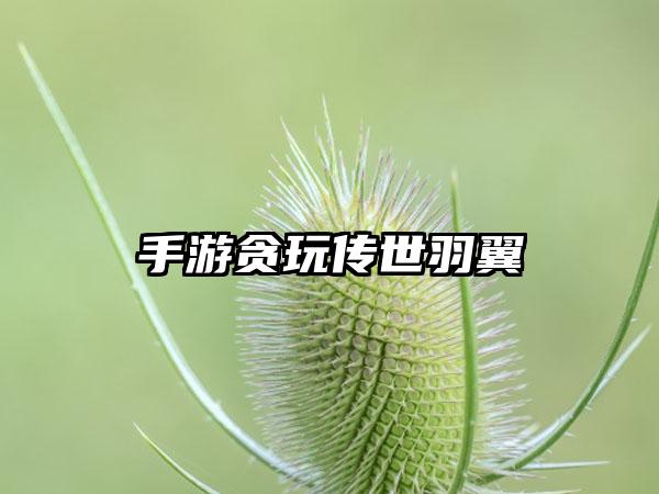 手游贪玩传世羽翼